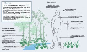 Посещение природы может омрачиться встречей с клещами