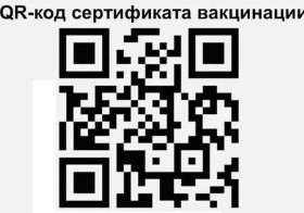 Систему QR-кодов введут в Карелии 15 октября